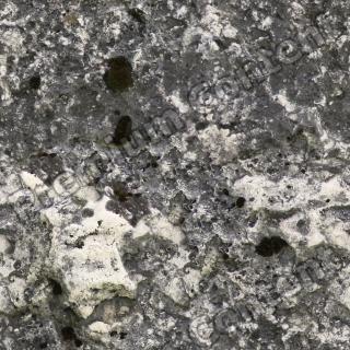 Seamless Stone 0029